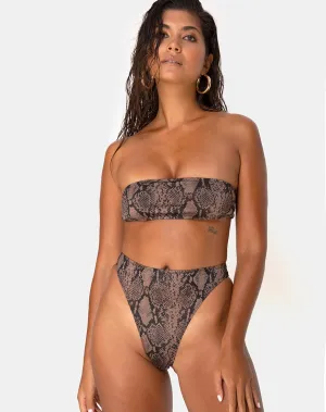 Izarla Bikini Top in Snake Taupe