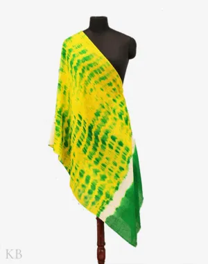 Yellow Green Pure Pashmina Stole